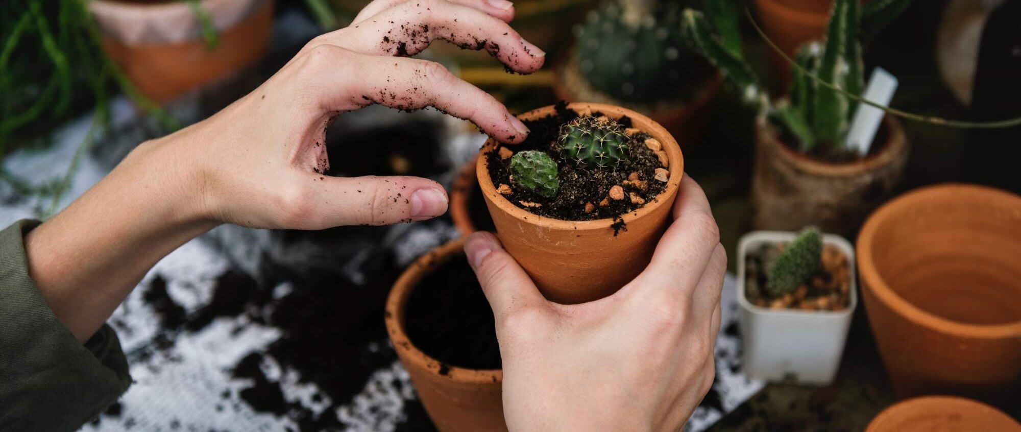 Photo by rawpixel.com from Pexels