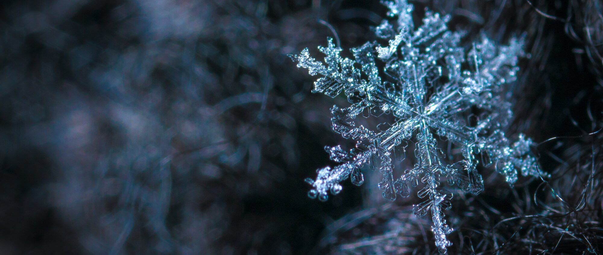 Photo by Egor Kamelev from Pexels