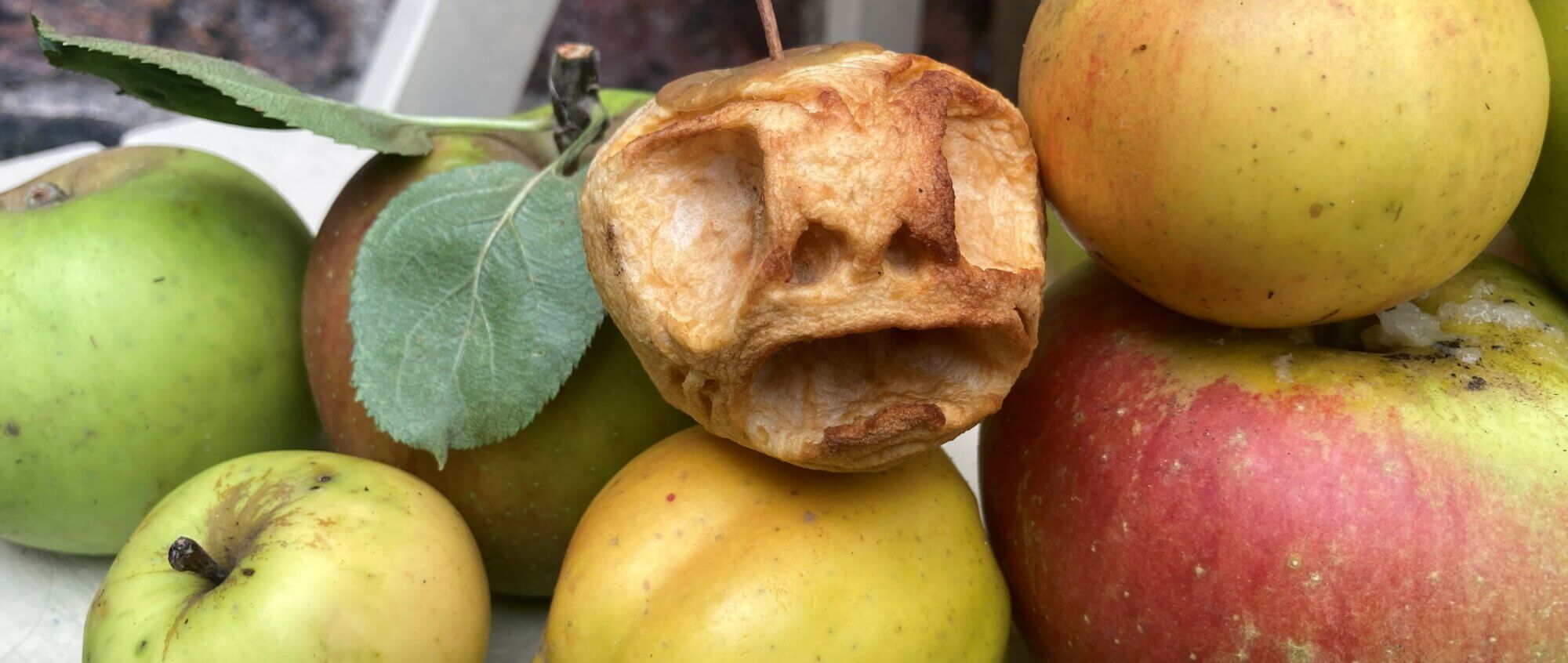 Horrible Halloween Heads