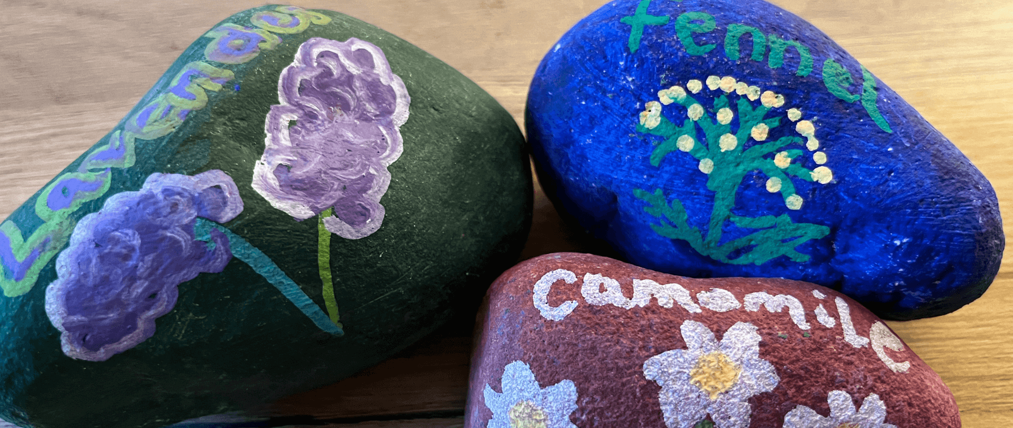 Painted pebbles