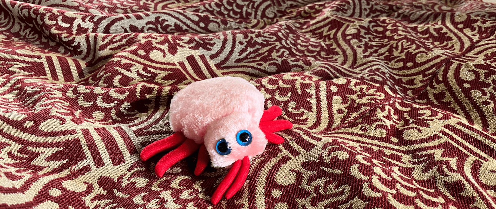 Bug animal on bed