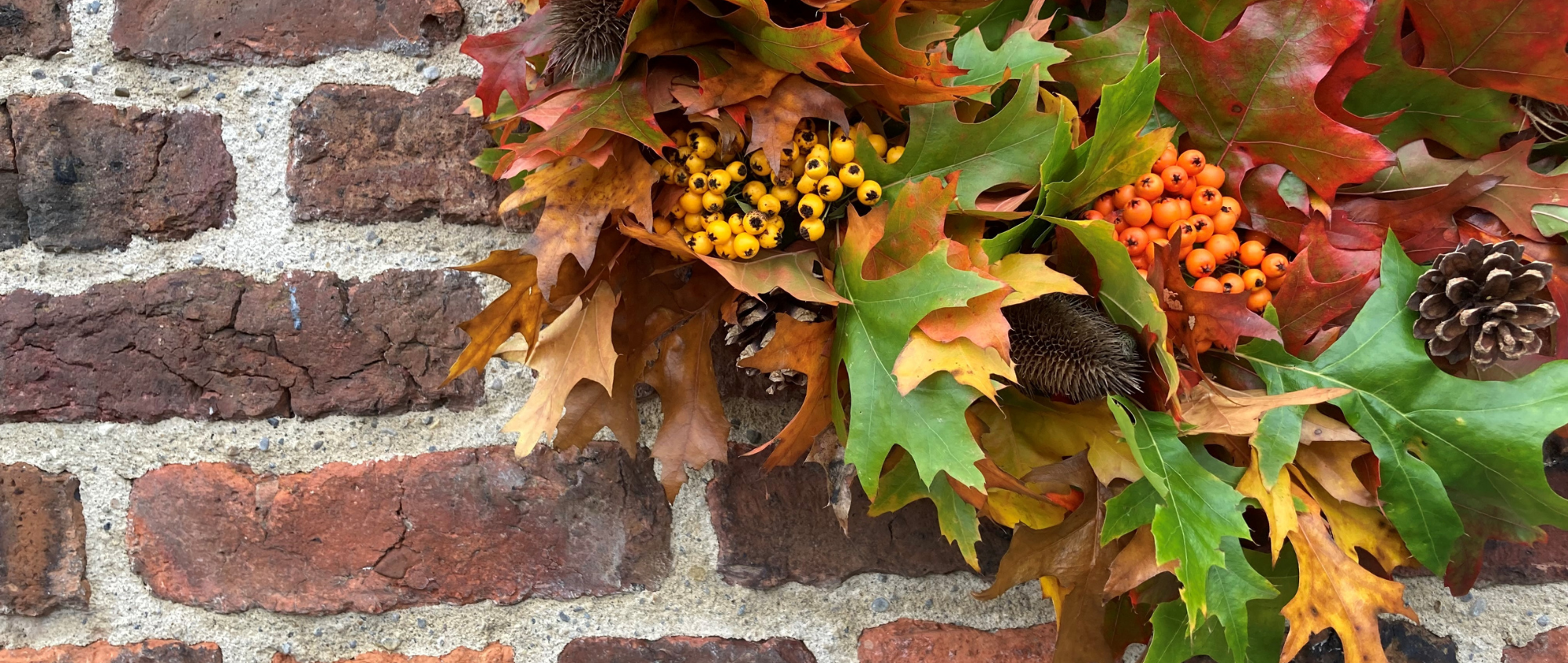 Autumn wreath