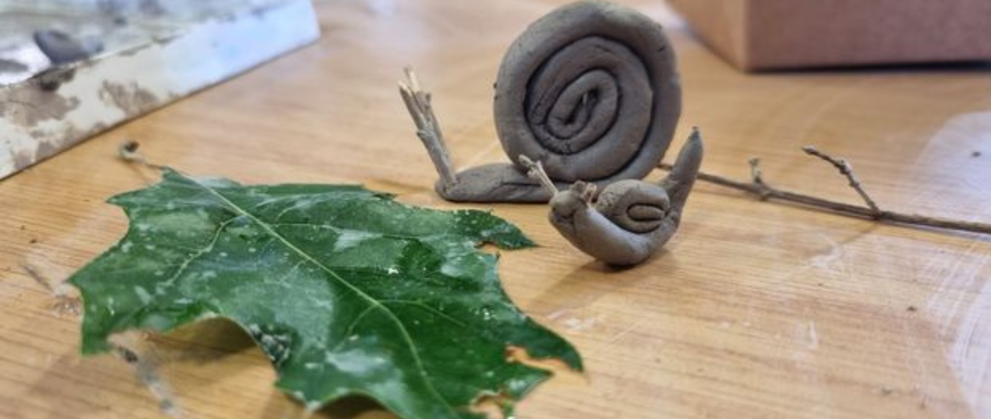 Clay snail and leaf on table