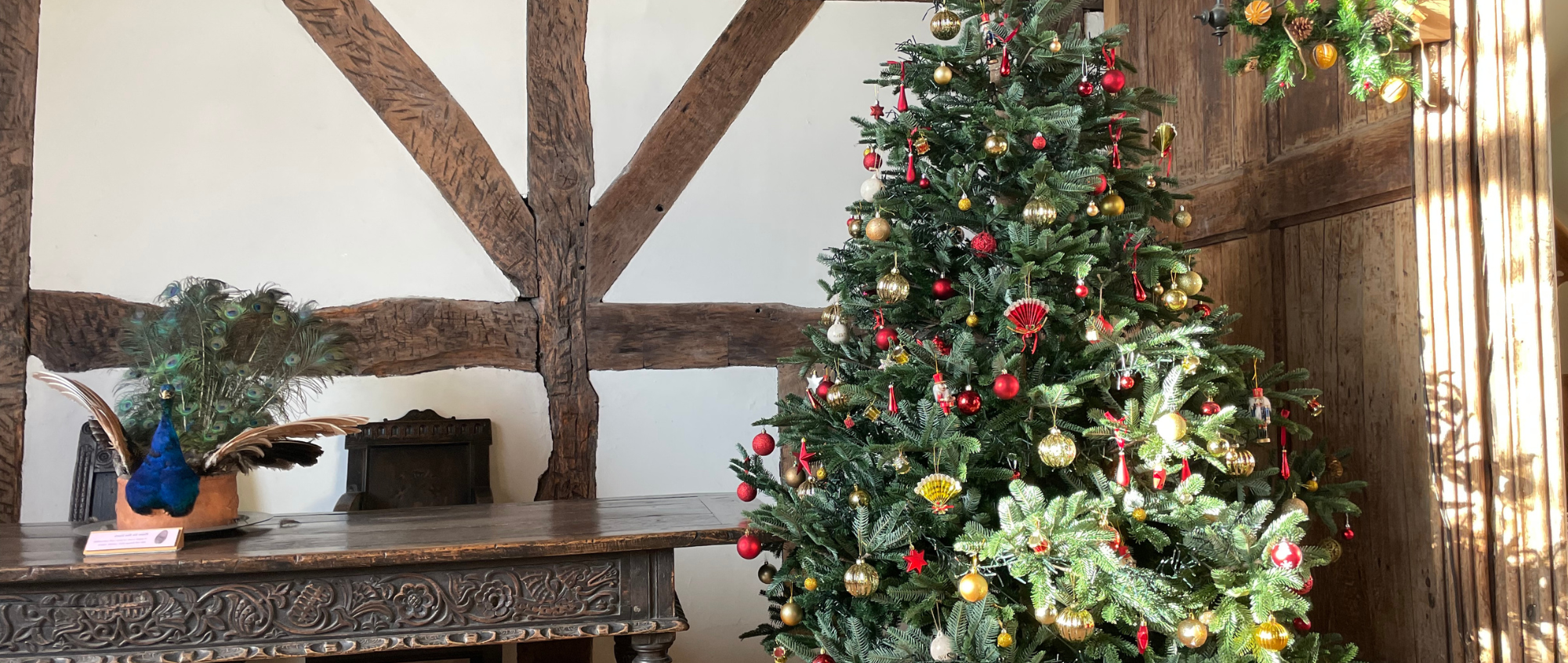 Christmas tree in the Great Hall