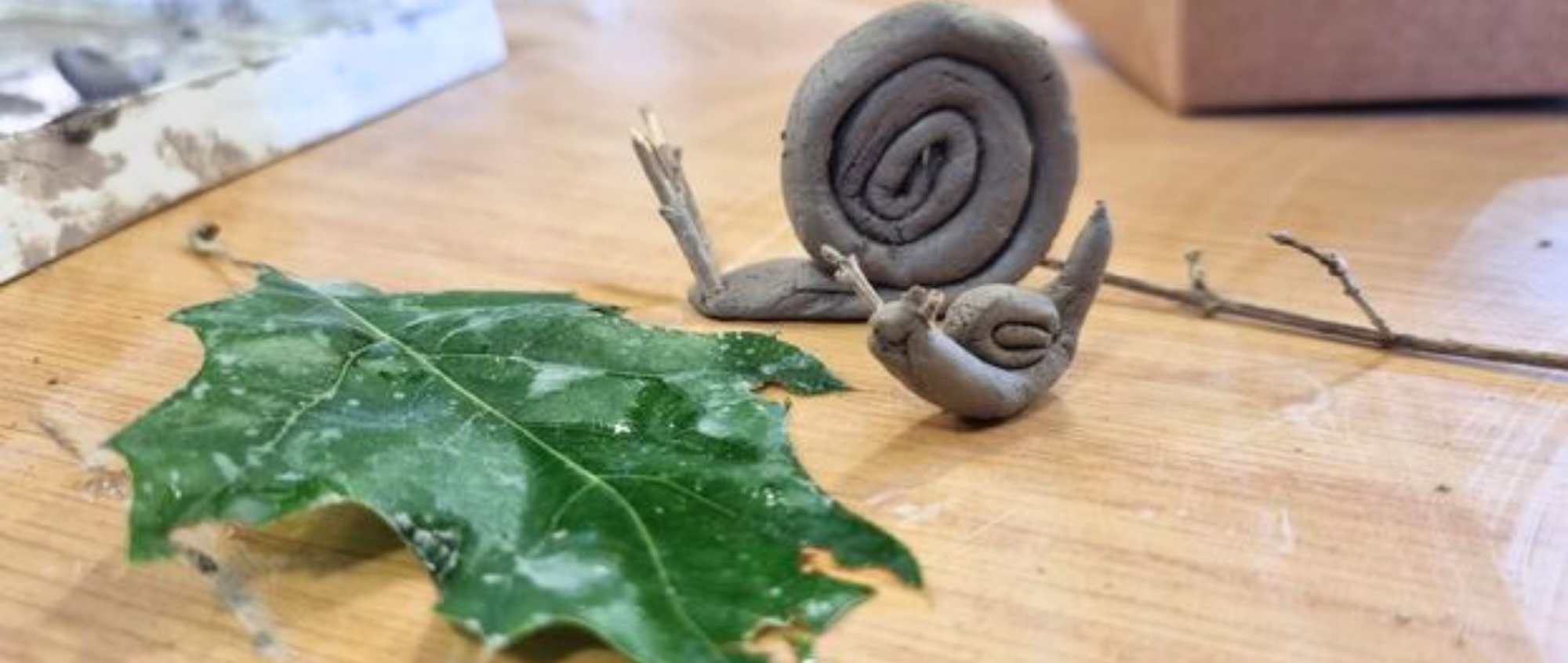 Clay snail and leaf
