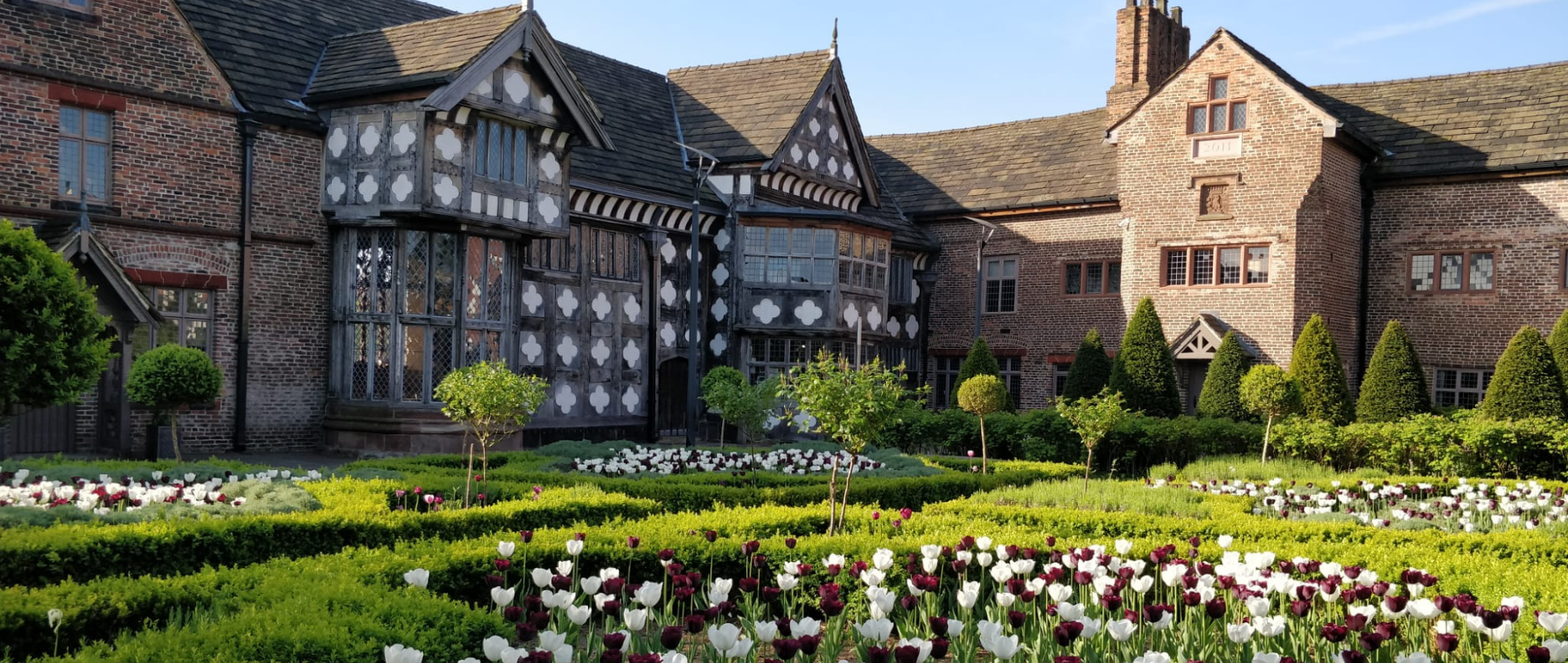 Ordsall Hall with tulips in garden