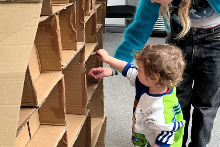 Tudor Cardboard House