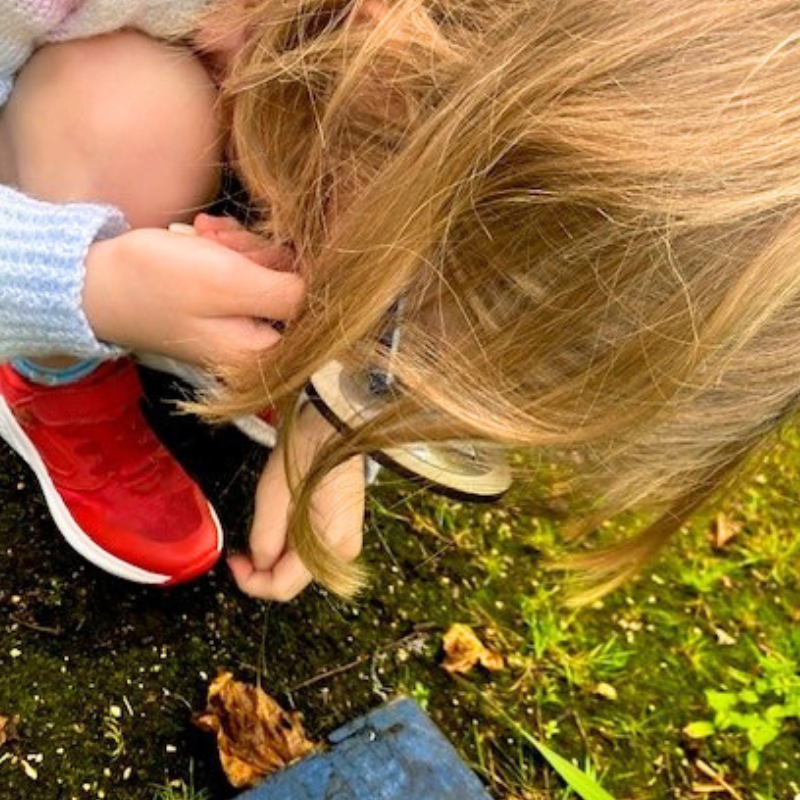 Bug hunt