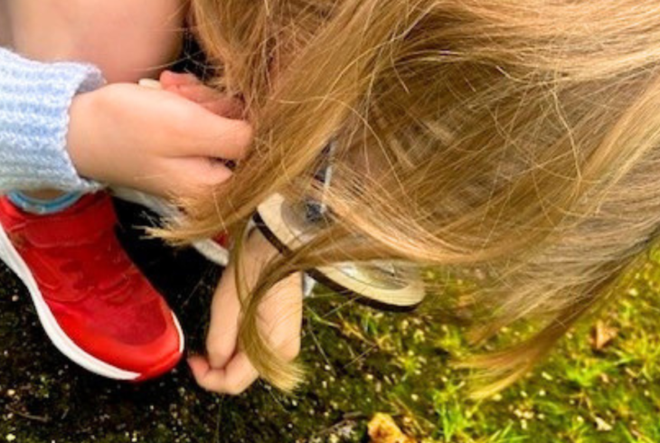 Bug hunt