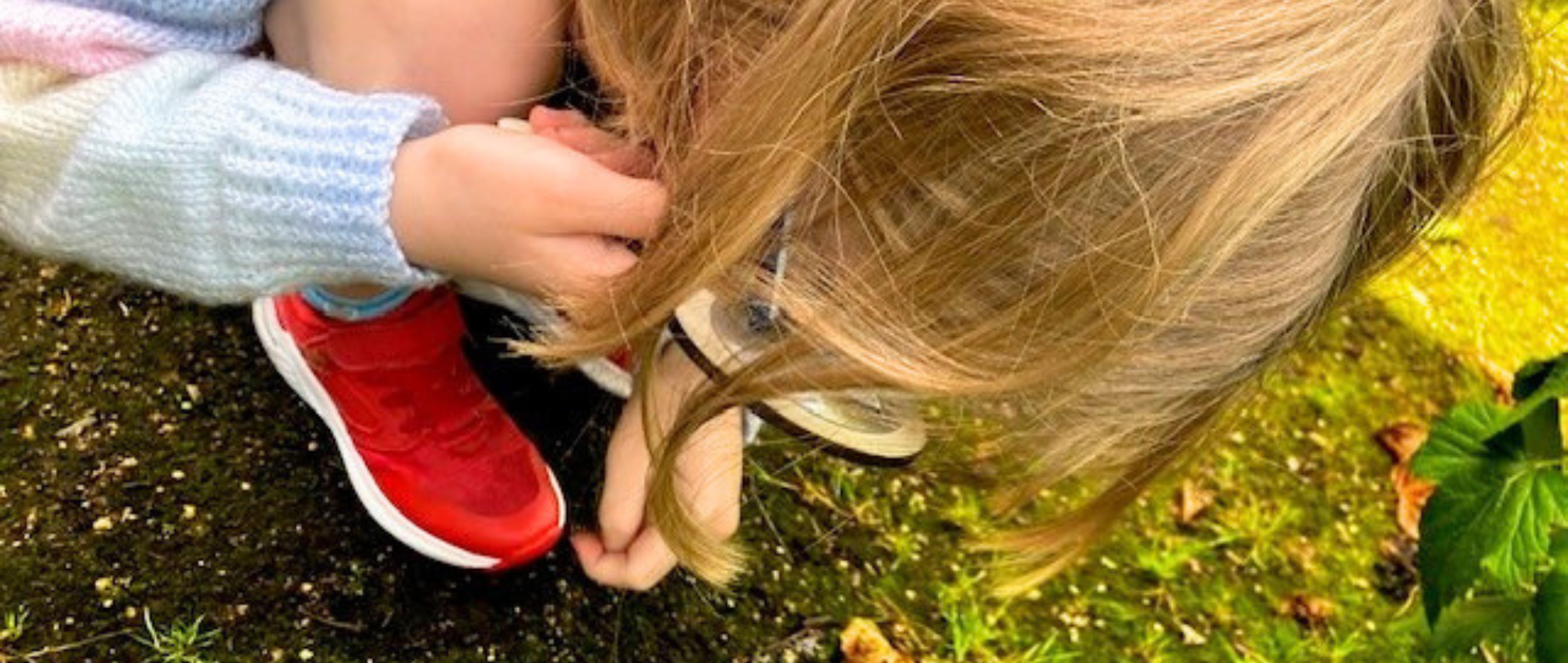 Bug hunt