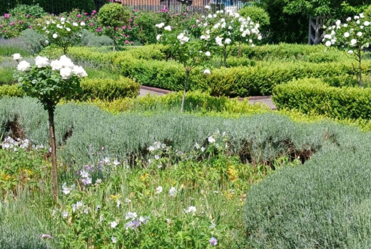 Ordsall Hall gardens