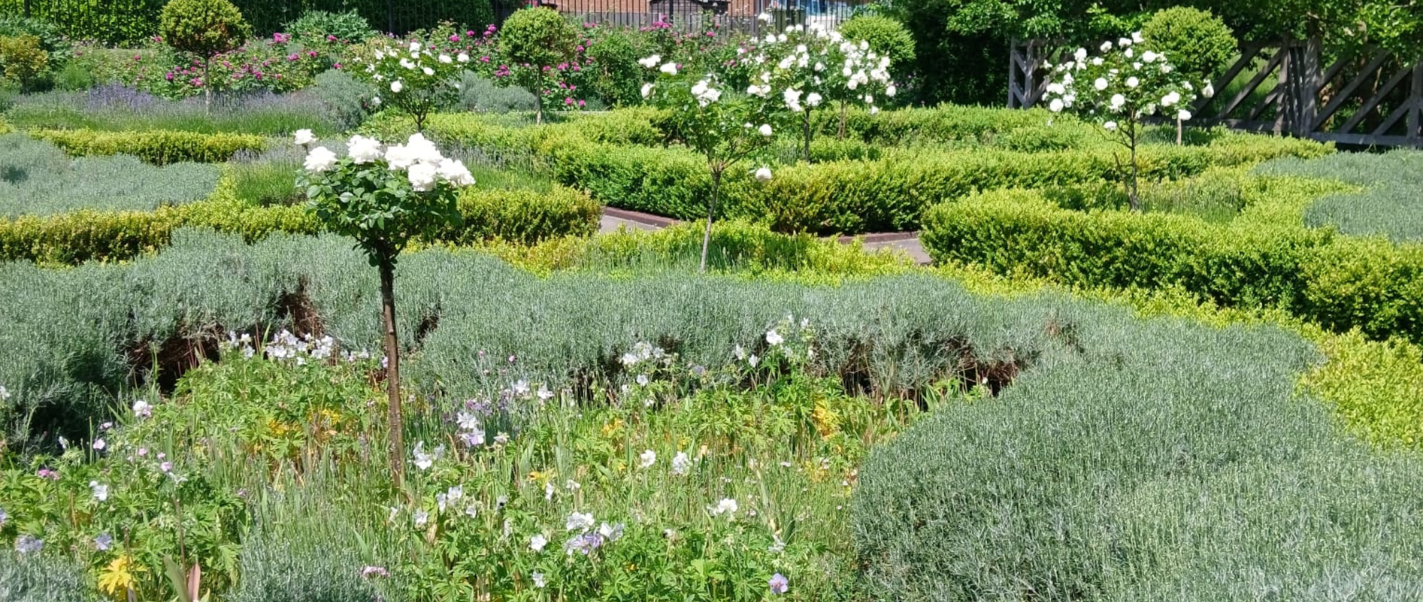 Ordsall Hall gardens