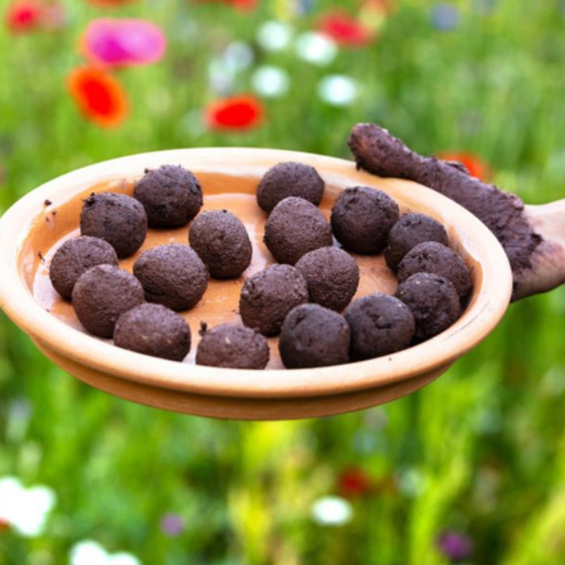 Seedballs