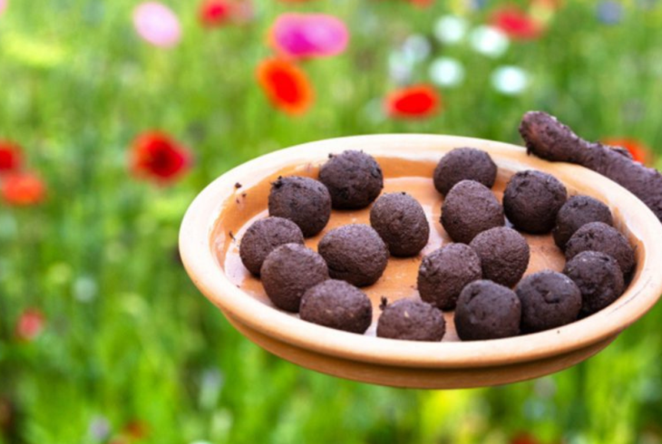 Seedballs