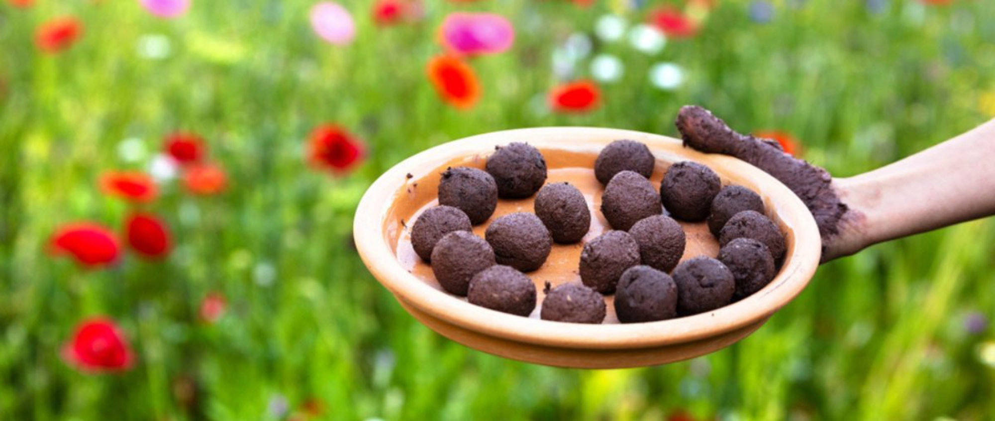 Seedballs
