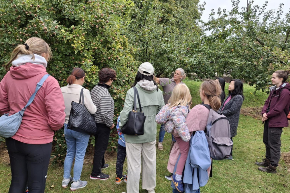 Group Visits & Guided Tours