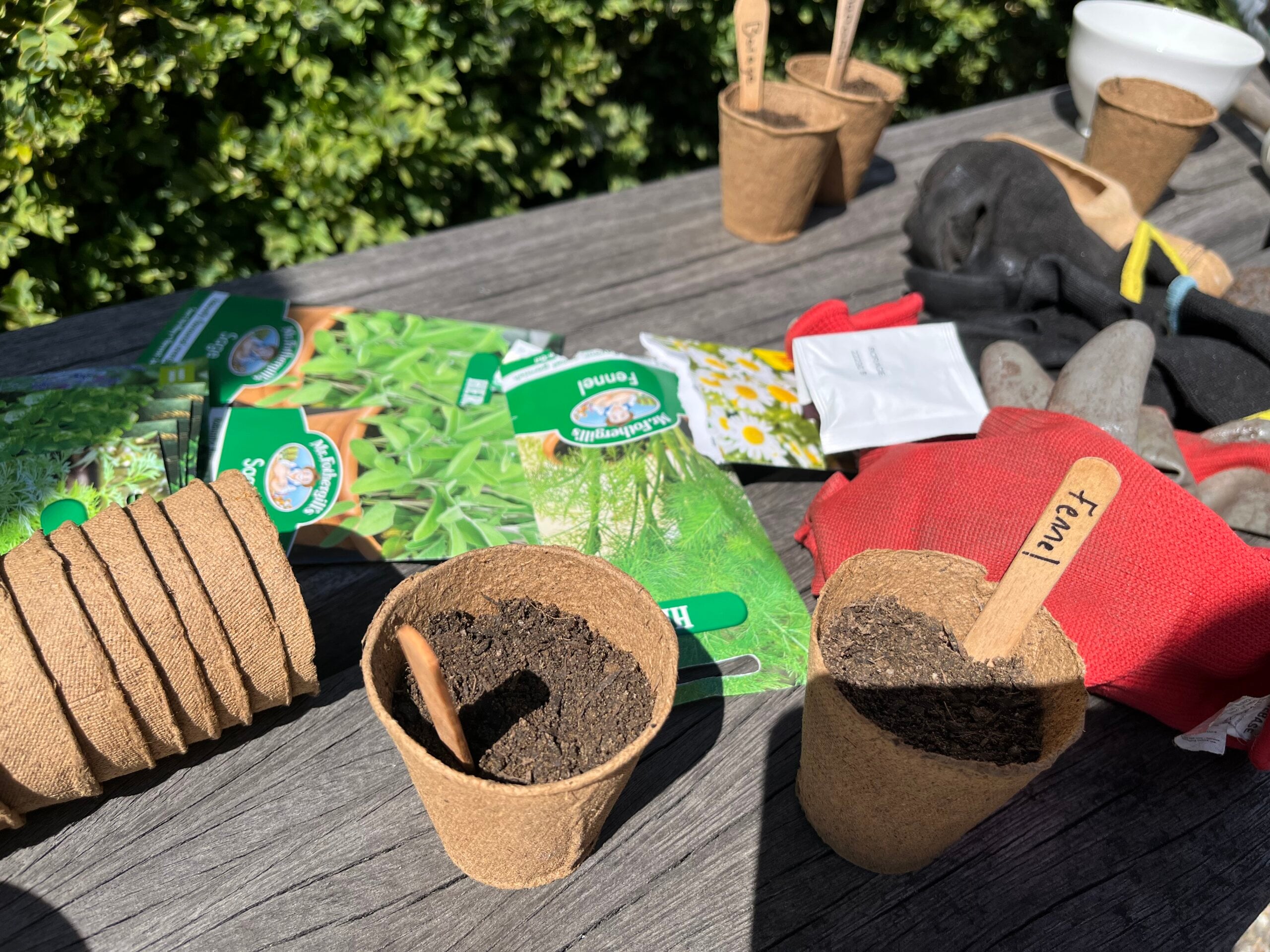 Seed-planting-scaled