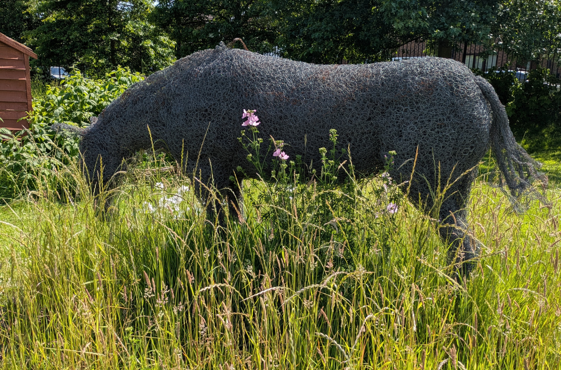 The Day's End, Steel and Wire by Angela Sidwell