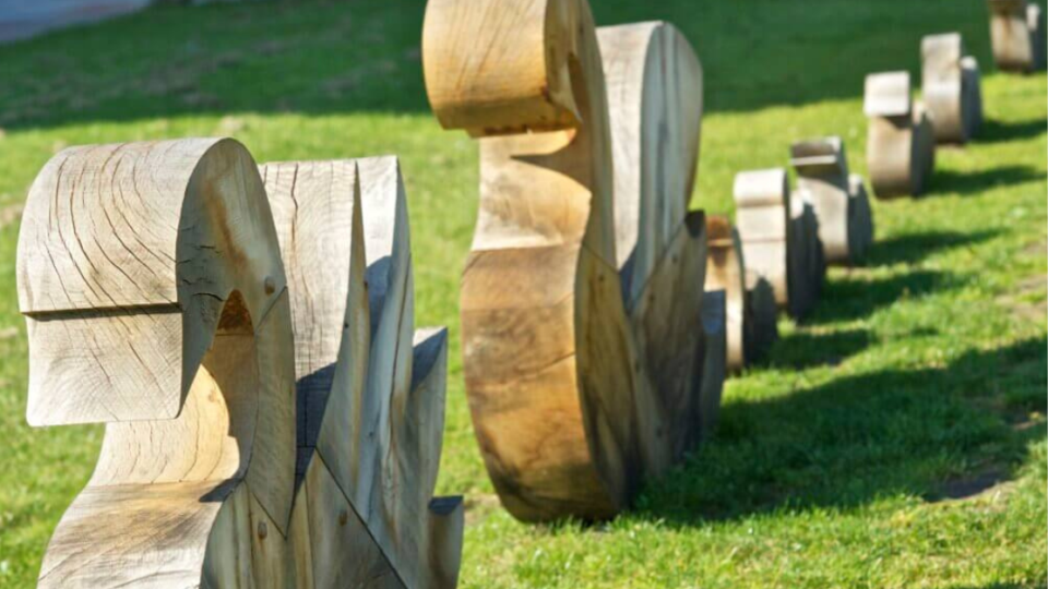 'Timeline' by Lesley Fallais